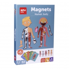 Magnetyczna układanka Apli Kids - Ciało człowieka-5273384
